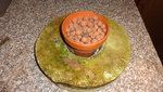 DSC04319.JPG