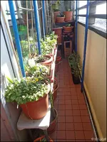 c079.webp