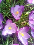 IMG_20210326_143906.jpg