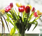 image001.jpg