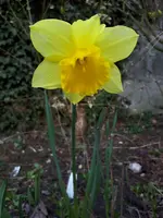 20210326_151126.webp