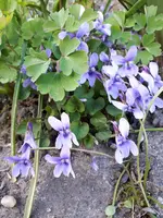 20210326_170312.webp