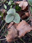20210326_151033.jpg