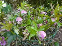 DSC01579.webp