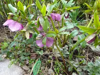 DSC01581.webp