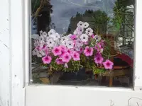 DSC01583.webp