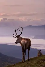 1616878155118.webp