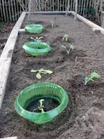 DSCN2817.webp