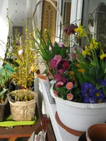 IMG_7424.webp
