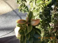 DSCN0335.JPG