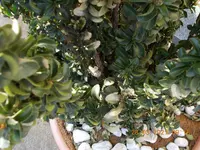 DSCN0339 - 2.JPG