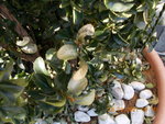 DSCN0340.JPG