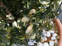 DSCN0340.webp