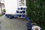 Hostaparade  0121.JPG