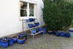 Hostaparade  0221.JPG