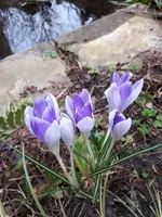 20210328_173034.webp