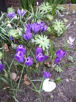 20210328_173128.webp