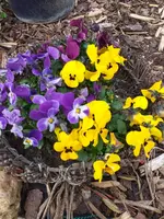 20210328_175421.webp