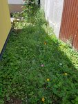 20200711_120834_1.jpg