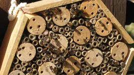 IMG_8665.webp IMG_8665.webp