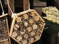 IMG_8667.webp IMG_8667.webp