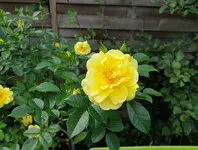 20210329_101109.webp