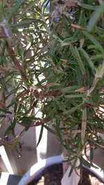 20210329_140333.webp