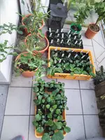 20210329_161219.webp