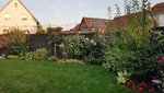 20200920_184147.jpg