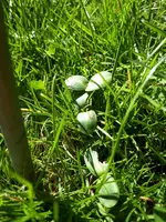 20210329_145618.webp