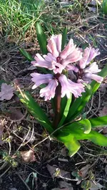 20210329_185030.webp