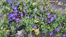 20210329_185255.webp
