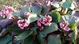 20210329_185133.webp