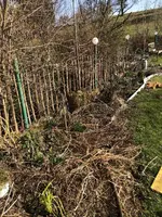 2021-03-29 Zaunbeet Nachbars vorher.webp