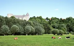ftwttbwrbMrz21.webp