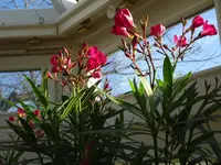 DSC01586.webp