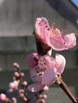 F584AD21-BB0B-4BF0-A873-2652BF740B80.jpeg