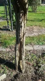 20210330_113557.webp