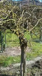 20210330_113650.webp