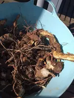 20210330_153148.webp 20210330_153148.webp