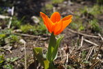 DSC00467.JPG