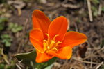 DSC00462.JPG