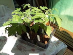 IMG_20210331_134140.jpg