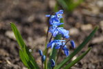 DSC00485.JPG