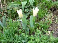 DSC01589.webp