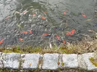 DSC01590.webp