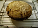 IMGP1326.JPG