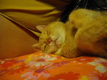IMGP2449.JPG