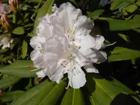 P1120208.webp