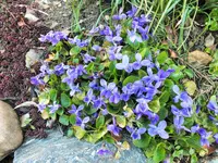 DSCF4587 (2).webp